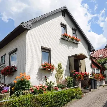 In 42915 Daire Ilmenau